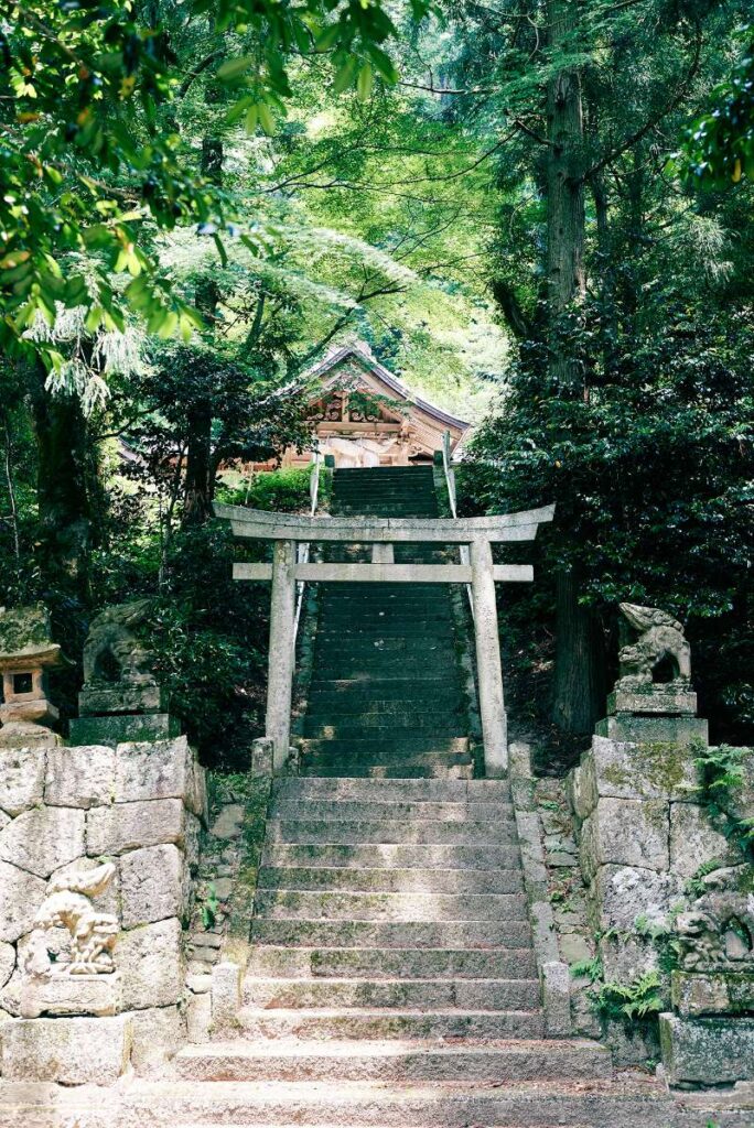  Partner with ThoughINAKA to Deliver Authentic Rural Japan Experiences
