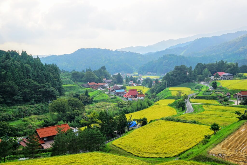 Okuizumo: Forged in Steel, Rooted in Rice, Alive in Spirit