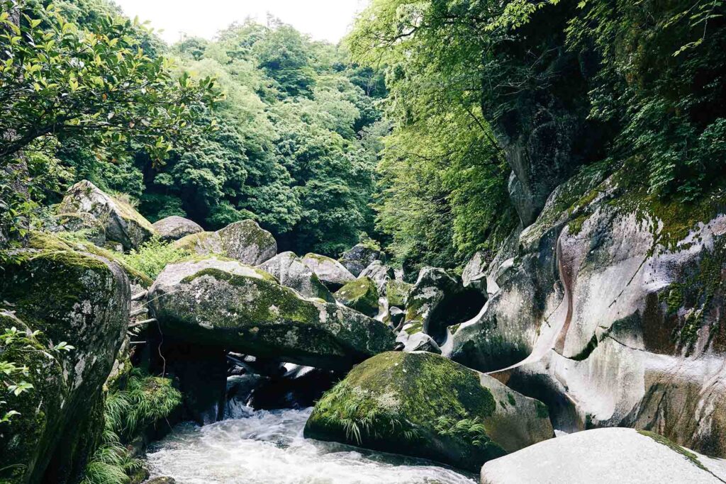 Okuizumo Basic 2 Nights / 3 Days Experience Plan