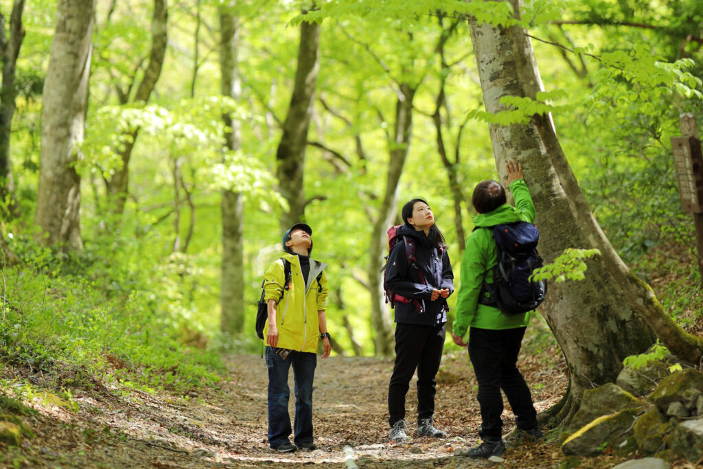 Daisen Basic plan 2nights 3 days